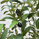 Artificial Bushy Olive Tree with Olives 180cm - Side View
