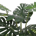 Split Philodendron Monstera Deliciosa (Split Leaf) 120cm