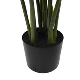 Split Philodendron Monstera Deliciosa (Split Leaf) 120cm - Top-Down View