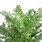 Faux Maiden Hair Fern Stem 40cm - Side View