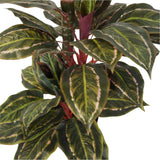 Artificial Wide Leaf Cordyline Plant 90cm - Top-Down View