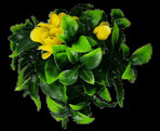 Flowering Yellow Rose Stem UV Resistant 30cm