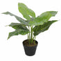 Artificial Potted Taro Plant / Elephant Ear 55cm
