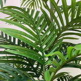 Premium Artificial Potted Multi-trunk Fan Palm 180cm - 45-Degree Angle