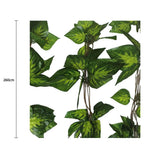 Artificial Pothos / Ivy Hanging Vines 260cm Each (5 pack) - Front View