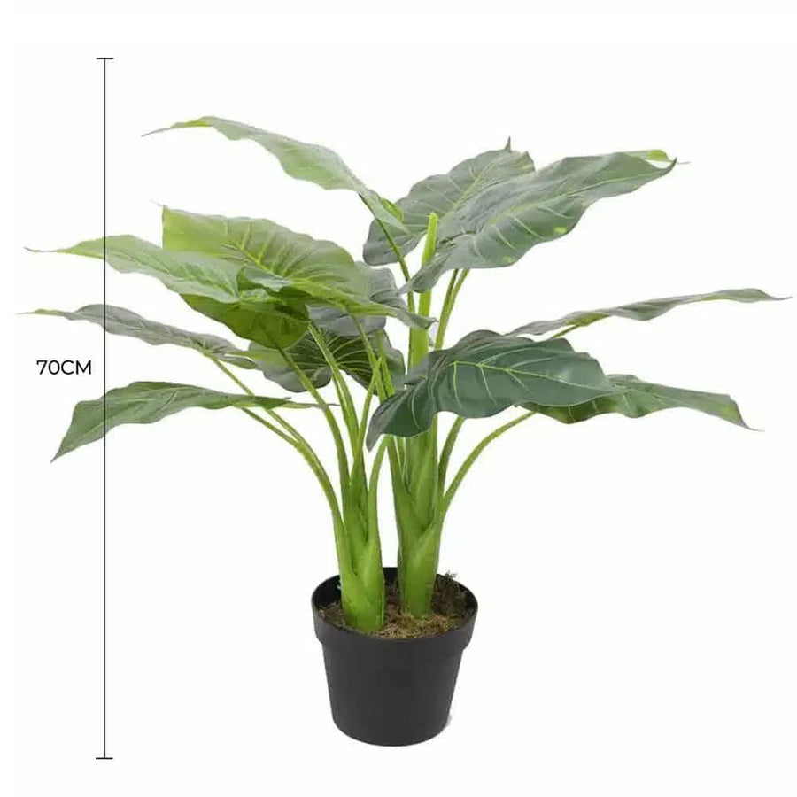 Artificial Potted Taro Plant / Elephant Ear 70cm