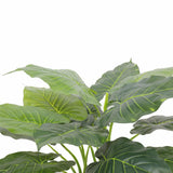 Artificial Potted Taro Plant / Elephant Ear 70cm - Side View