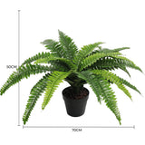 Artificial Potted Natural Green Boston Fern (50cm high 70cm wide) - Front View