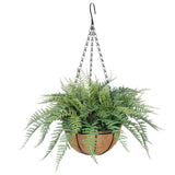 Hanging Basket, Ferns, and Small Potted Plant Bundle - Side View