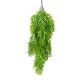 Hanging Basket, Ferns, and Small Potted Plant Bundle - Top-Down View