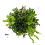 Imitation Gold Artificial Hanging Green Wall Disc 80cm (Limited Edition) UV Resistant Foliage - Front View