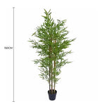 Premium Natural Cane Artificial Bamboo (UV Resistant) 150cm