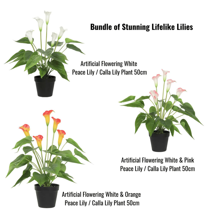 Stunning Lifelike Lilies Bundle