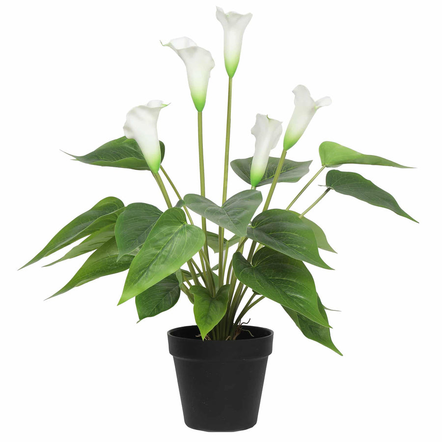 Stunning Lifelike Lilies Bundle
