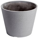 Premium Areca Palm Tree and Render Pot Bundle