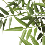 Premium Potted Artificial Black Bamboo Tree UV Resistant 180cm