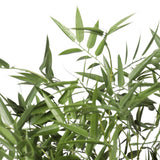 Premium Potted Artificial Black Bamboo Tree UV Resistant 180cm