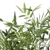Premium Potted Artificial Black Bamboo Tree UV Resistant 180cm - Top-Down View