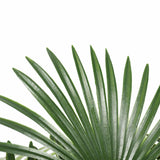 Artificial Wide Leaf Fan Palm Tree 90cm - Side View