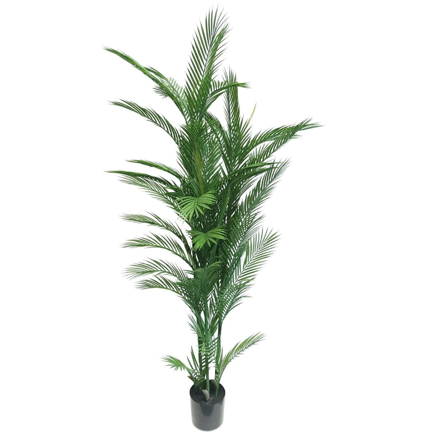 Real Touch Artificial Phoenix Palm Tree UV Resistant 180cm