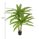 Artificial Multi Head Dracaena Tree with Mixed Green Leaves (Real Touch) 130cm - Front View