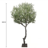 Nearly Natural Extra Large Olive Tree with Olives 285cm - Front View