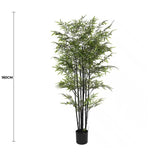 Premium Dense Artificial Black Bamboo 180cm - Front View