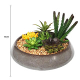 Potted Artificial Succulents with Round Decorative Bowl 19cm - Front View
