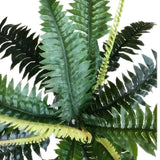 Artificial Dark Green Boston Fern 60cm - Side View
