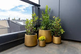 Elegant Gold Planters / Gold Pots Set of 4 - Side View