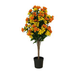 Flowering Yellow and Orange Bougainvillea Tree 90cm UV Resistant - Side View
