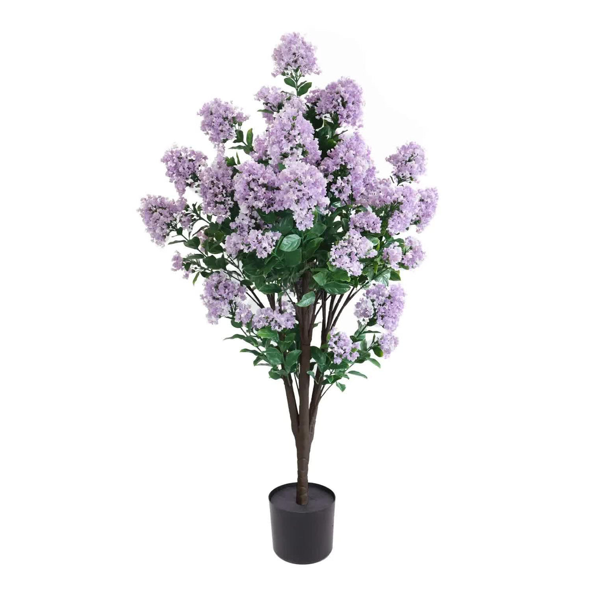 Flowering Lilac Crepe Myrtle Tree 120cm UV Resistant