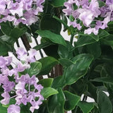 Flowering Lilac Crepe Myrtle Tree 90cm UV Resistant - Side View