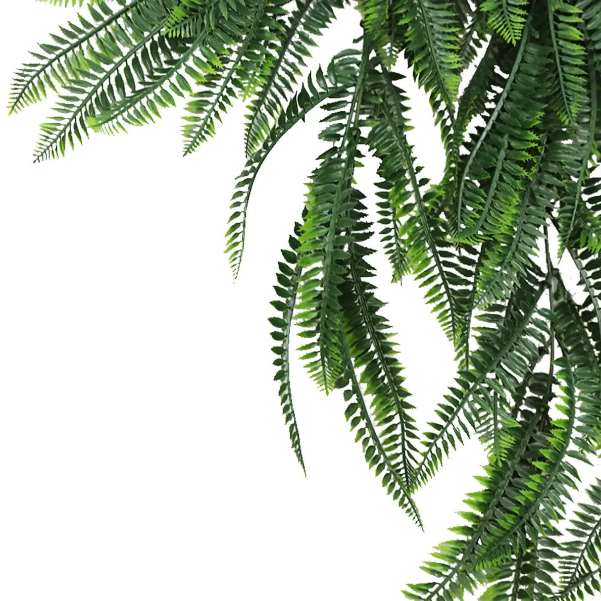 Artificial Mixed Green Bracken Fern 85cm UV Resistant