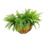 Artificial Hanging Fern Basket 30cm x 40cm Long UV Resistant - Front View
