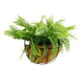 Artificial Hanging Fern Basket 30cm x 40cm Long UV Resistant - Side View