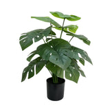 Artificial Potted Split Philodendron (Monstera) 50cm - Front View