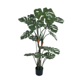 Premium Potted Monstera Split Leaf 150cm UV Resistant - Front View