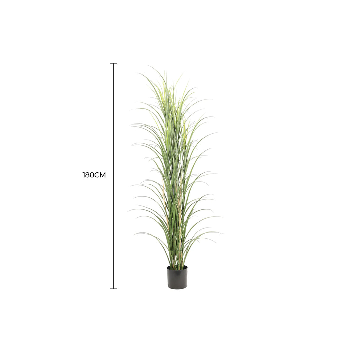 Premium Potted Artificial Long Grass (Yucca Grass / Reed Grass) 180cm UV Resistant
