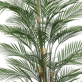 Premium Artificial Areca Palm Tree 210cm UV Resistant (New Arrival)