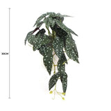 Artificial Begonia Maculata Plant In Decorative Bowl 30cm - Front View