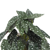 Artificial Begonia Maculata Plant In Decorative Bowl 30cm - Side View