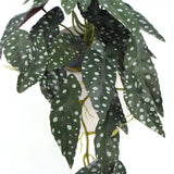Artificial Begonia Maculata Plant In Decorative Bowl 30cm - Top-Down View