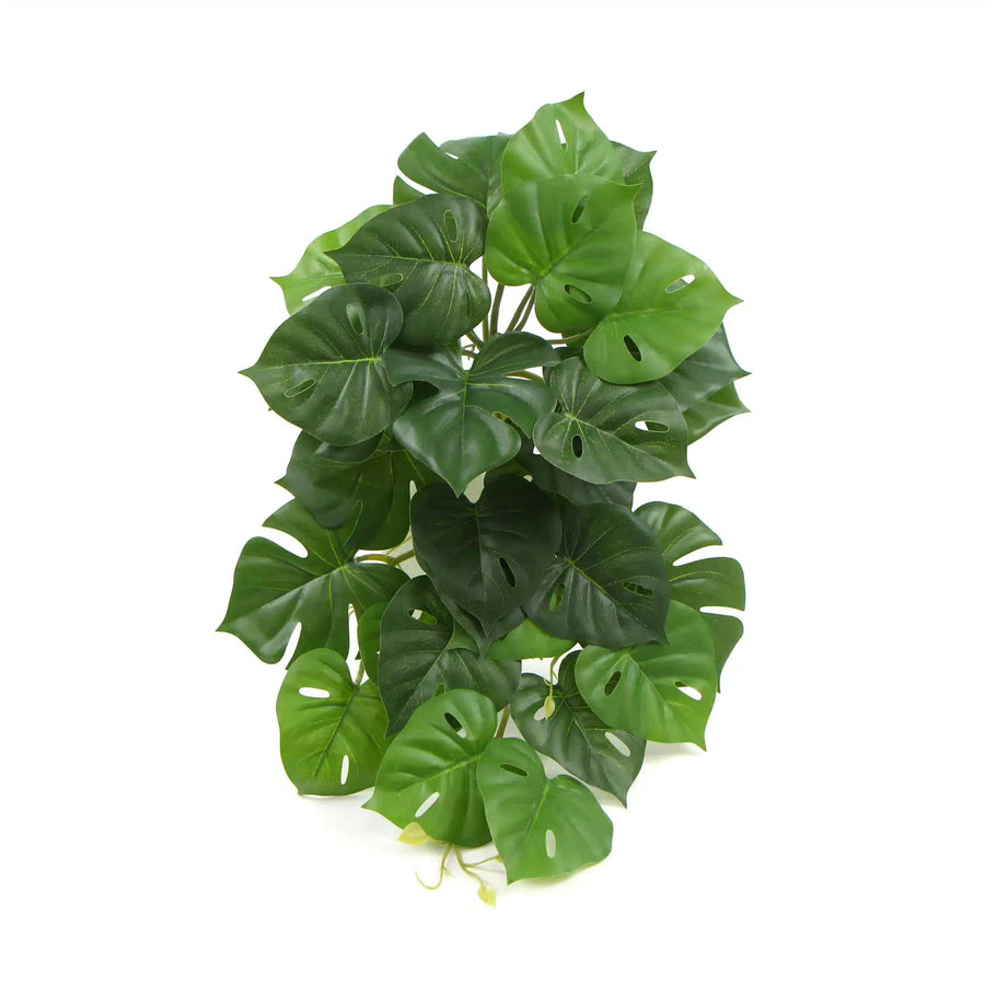 Artificial Monstera Adansonii Plant 50cm