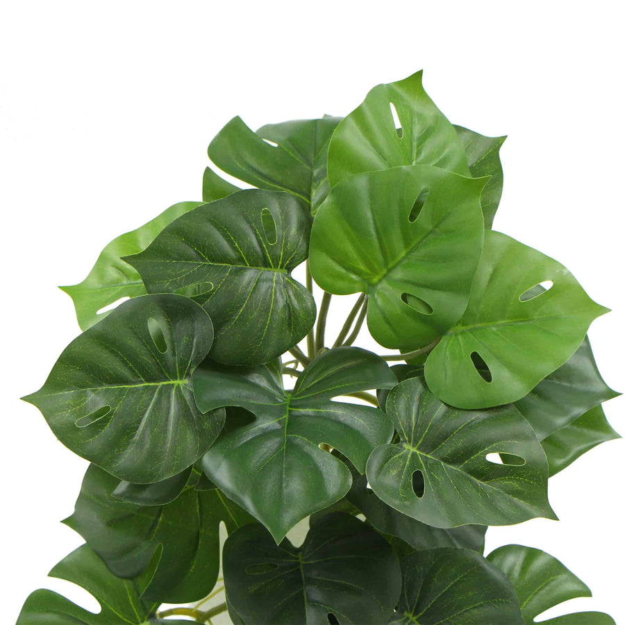 Artificial Monstera Adansonii Plant 50cm
