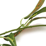 Artificial Croton Vine / Hanging Garland 180cm