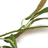 Artificial Croton Vine / Hanging Garland 180cm - Side View