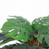 Premium Artificial Monstera Deliciosa Tree 100cm - Top-Down View