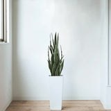 Artificial Snake Plant Sansevieria UV Resistant 90cm - Side View