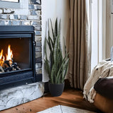 Artificial Snake Plant Sansevieria UV Resistant 90cm - Top-Down View